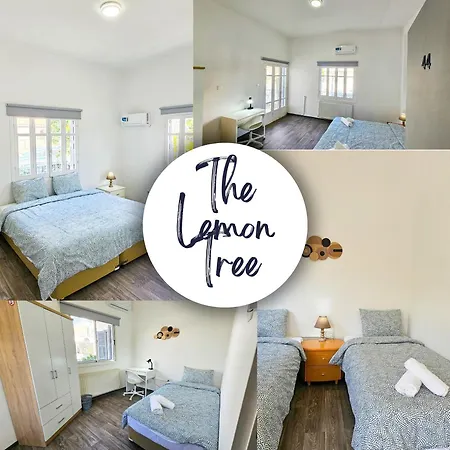 Vandrarhem The Lemon Tree *