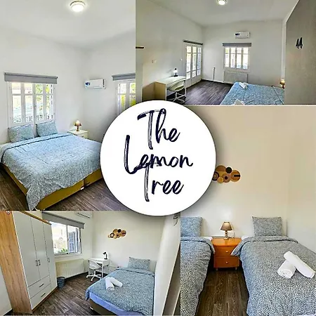 The Lemon Tree بيت شباب