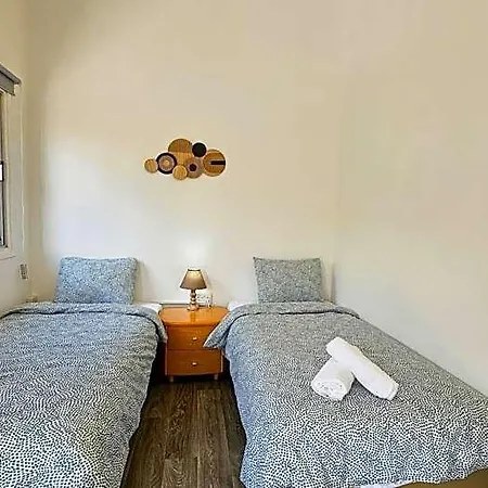 The Lemon Tree بيت شباب لارنكا